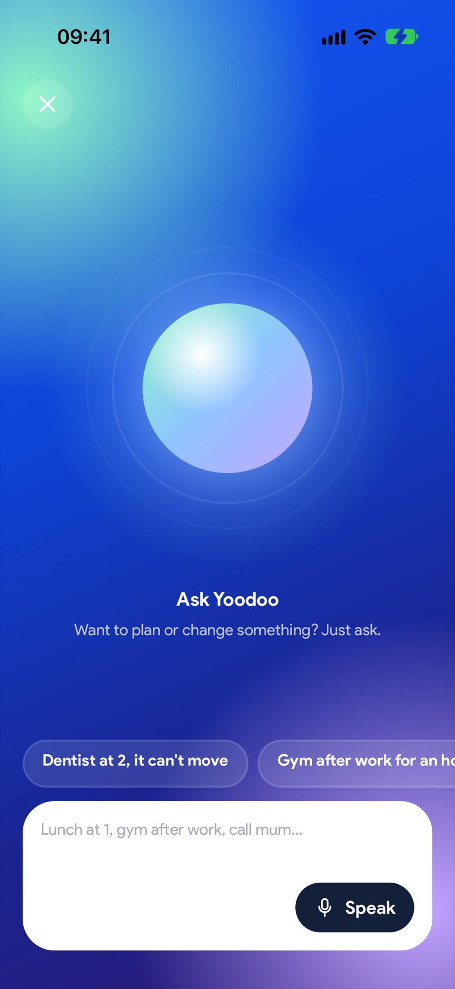 Ask Yoodoo: want to plan or change something? Just ask.